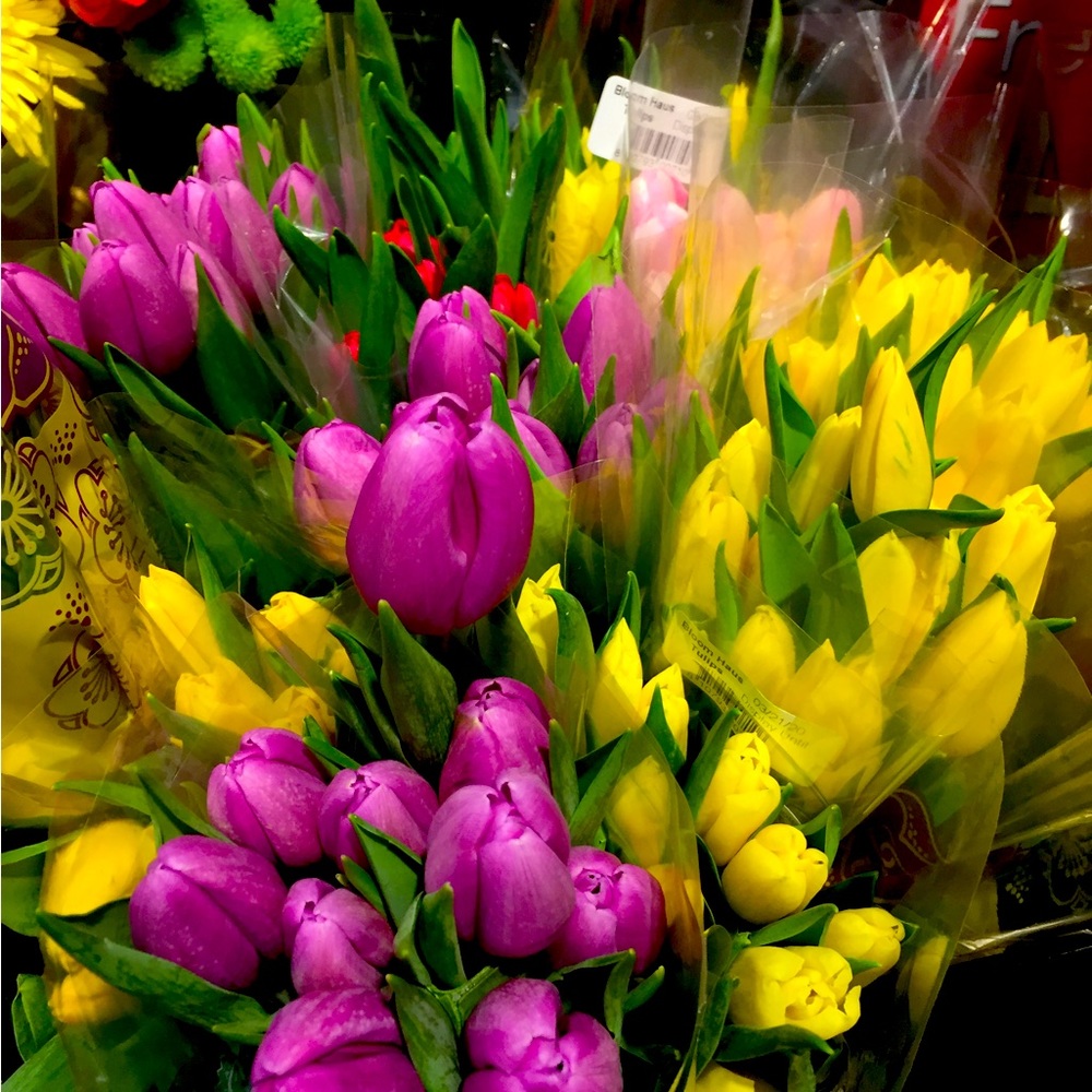 Meet your Posher, Rocio